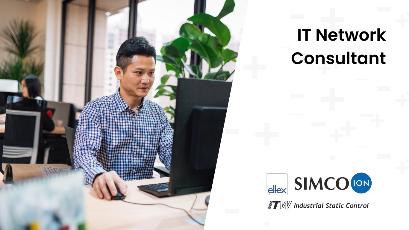 IT Network Consultant